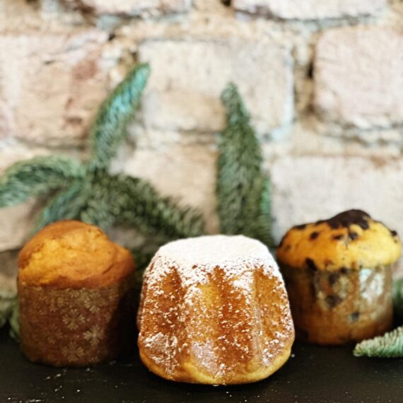 i piccolini pandoro, panettone classico, panettone ciocco senza glutine e senza lattosio